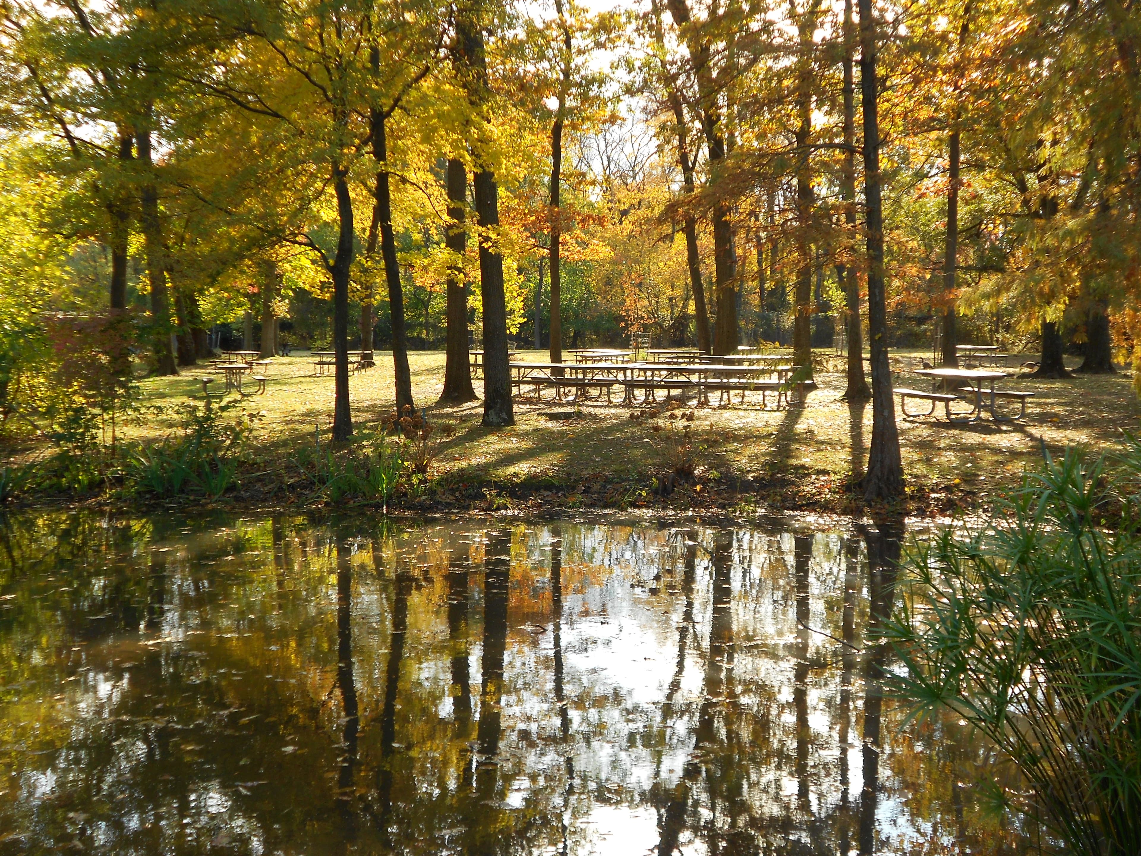 Picnic tables are available throughout the park