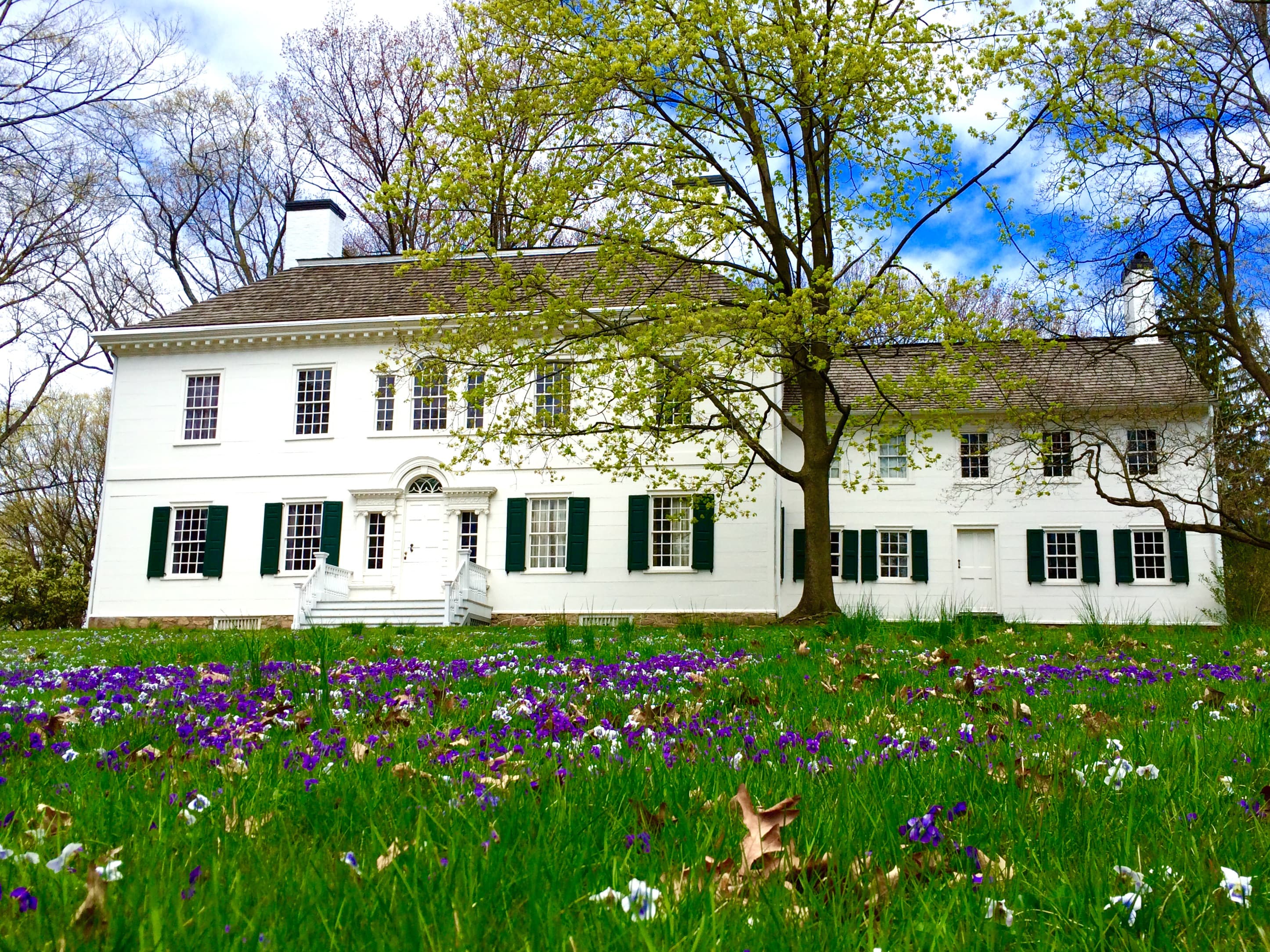 The white Ford Mansion sits among green grass and purple flowers.
