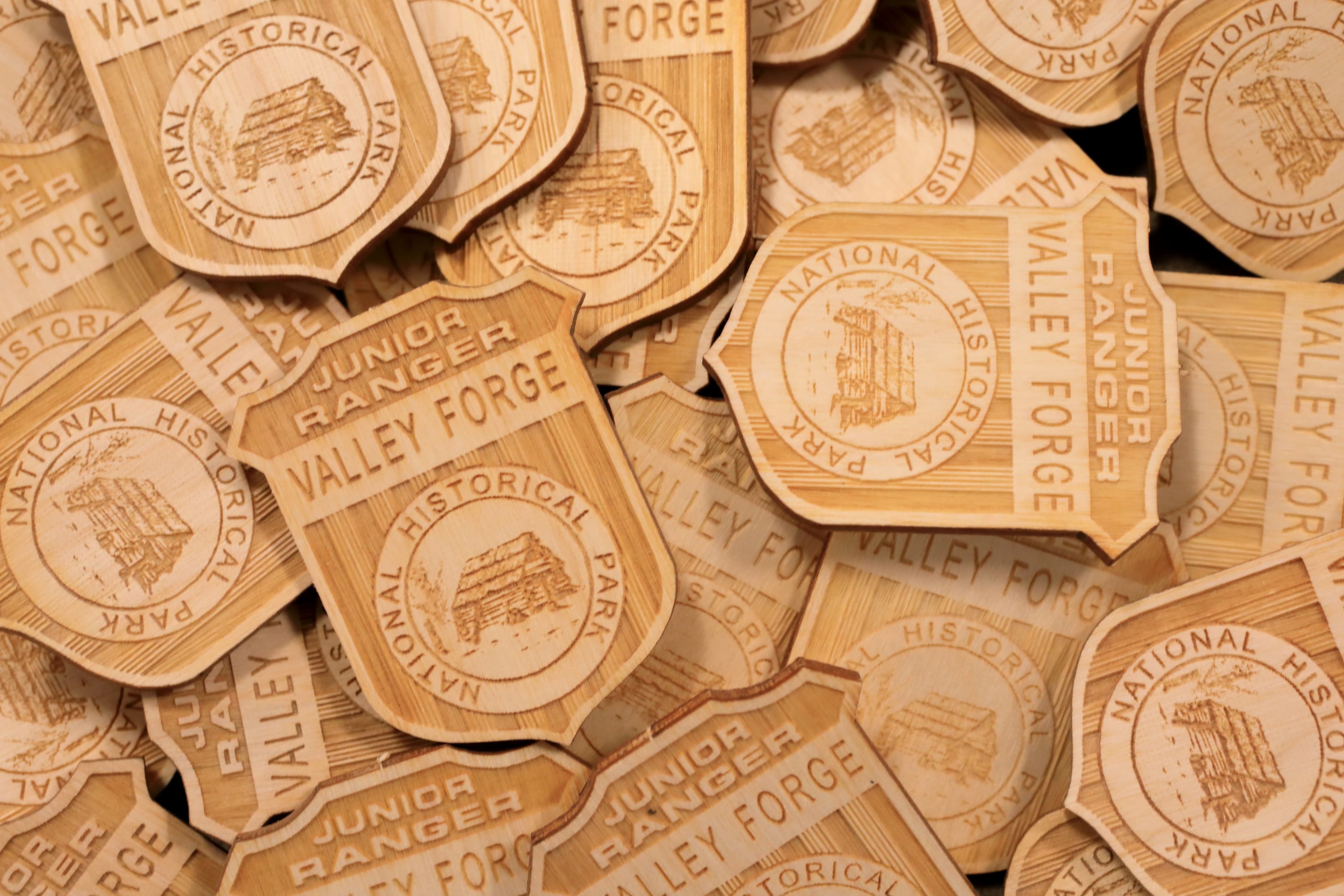 many wooden junior ranger badges in a pile