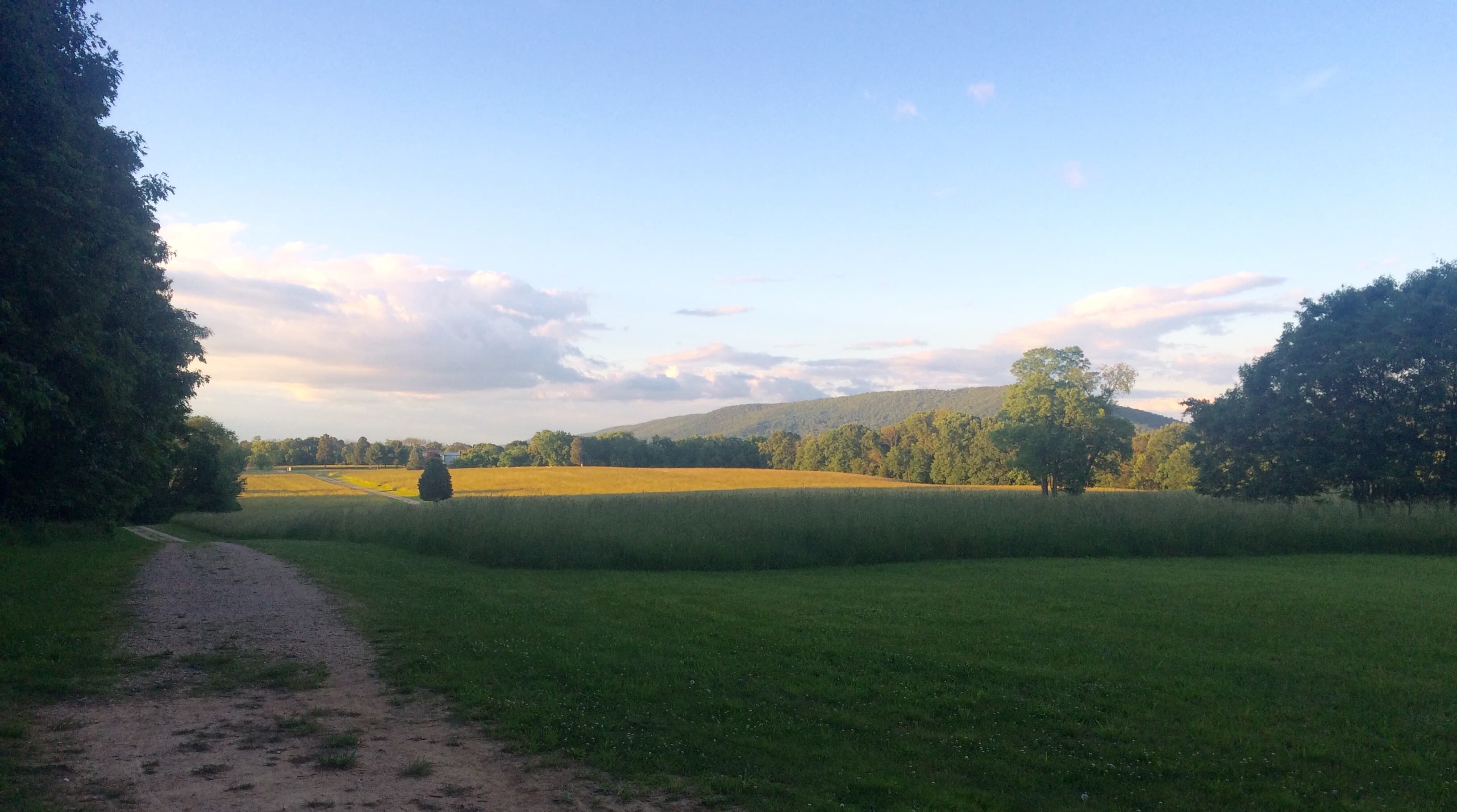 Scene of a farm field with trees and a lane to the left.