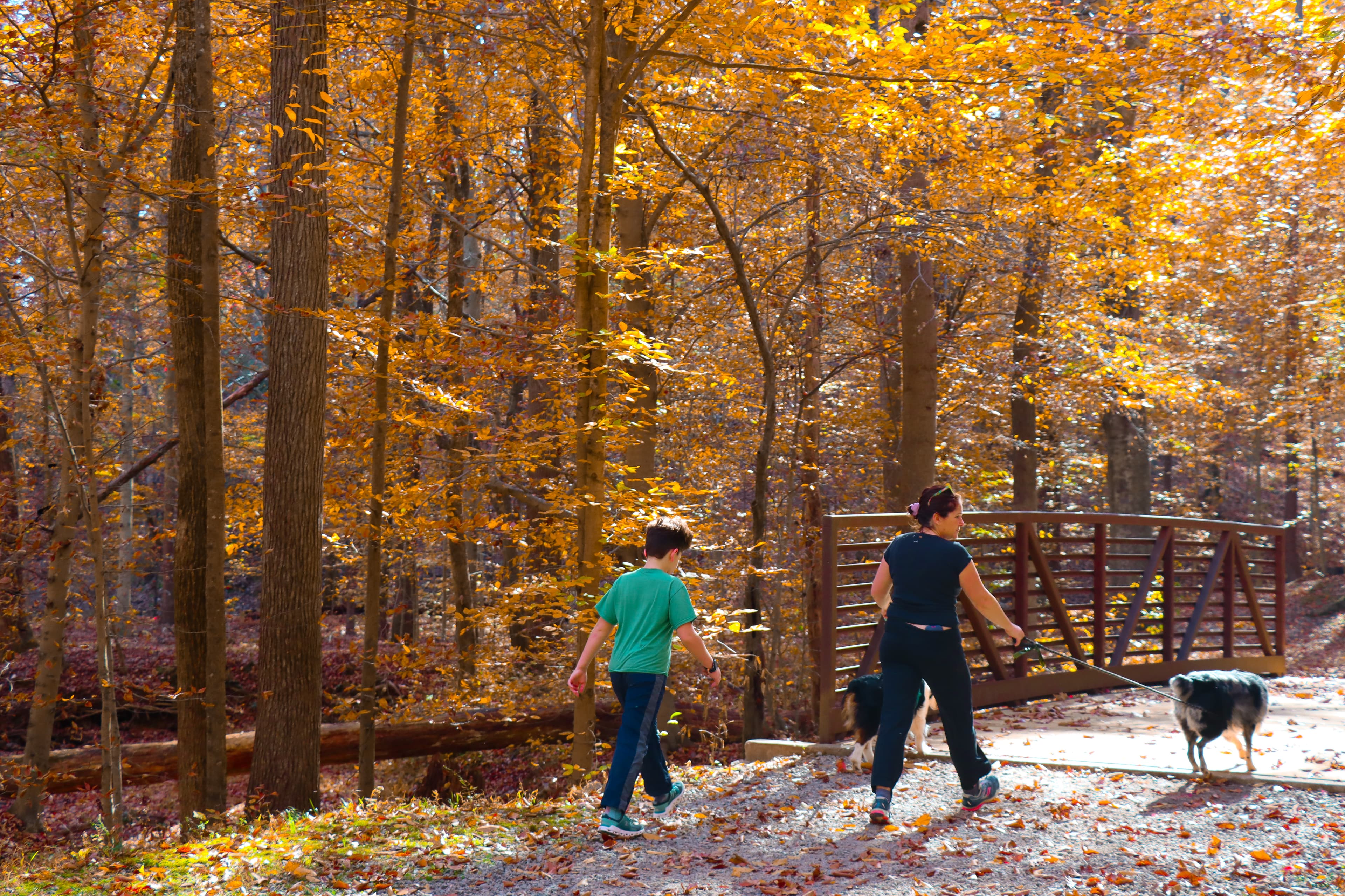 Two people walking on a trail surrounding by leaves changing color.