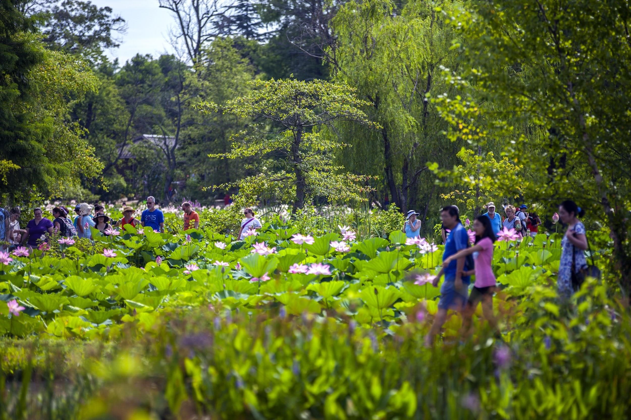 Kenilworth Park & Aquatic Gardens