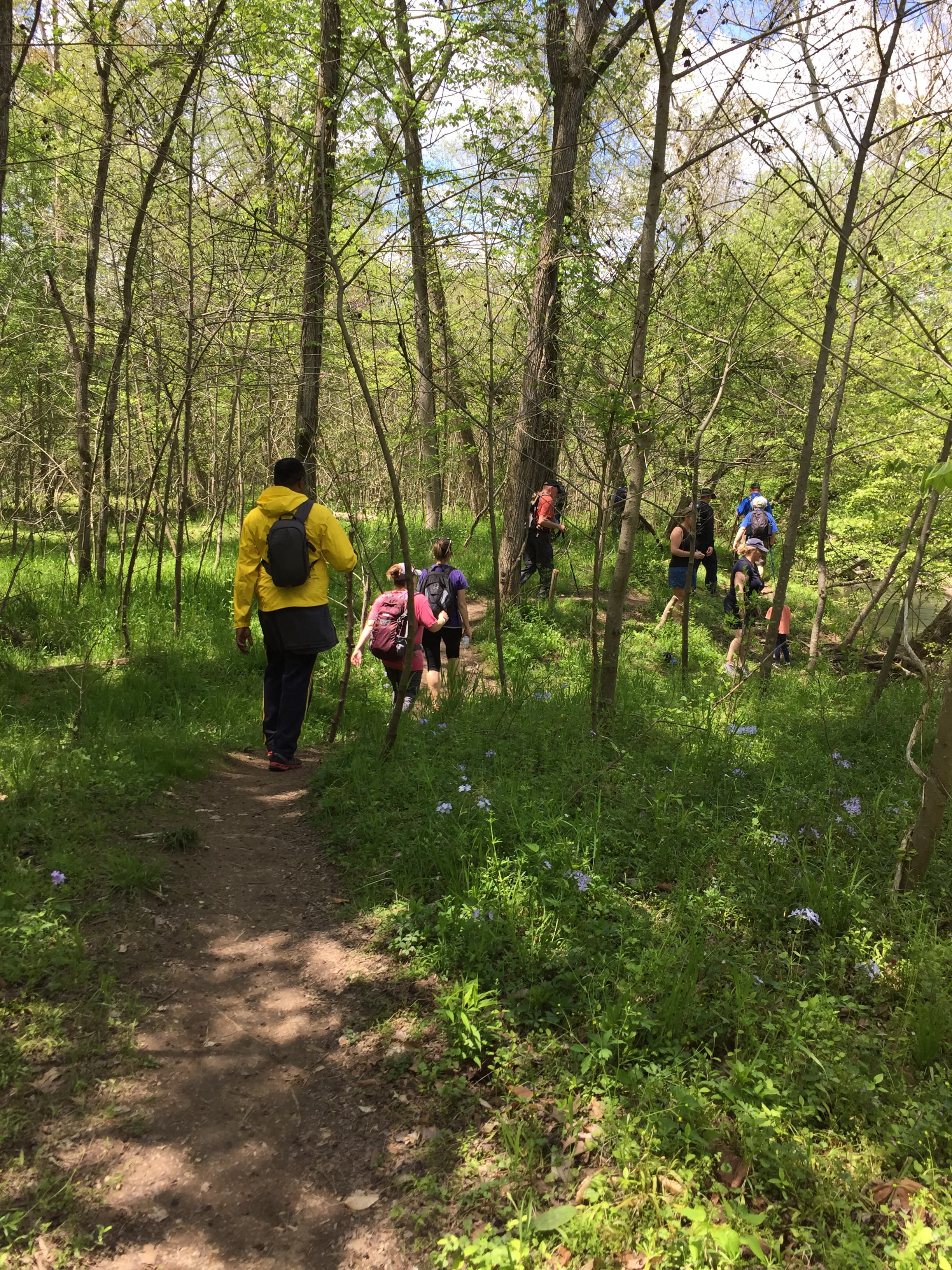 Volunteer to complete the PHT in Northern Virginia